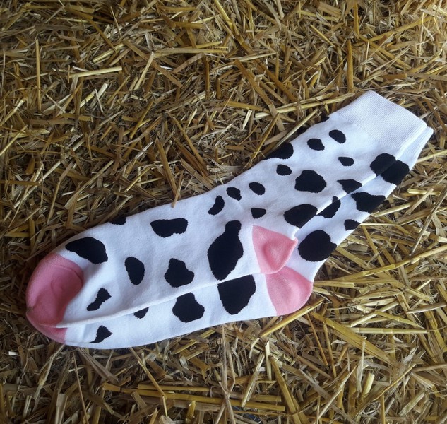 Cadeaubon koe knuffelen + koesokken