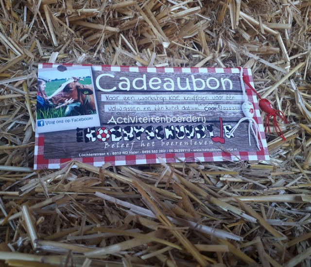 Cadeaubon koe knuffelen kids 